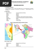 Resumen Ejecutivo