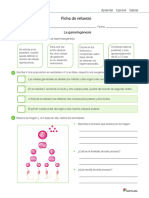 Ficha de Refuerzo