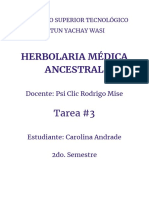 Herbolaria Taller 3 - Carolina Andrade