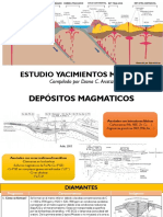 ESTUDIO YACIMIENTOS DIANA - Chapita