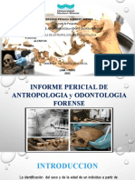 Exposicion Antropologia Forense