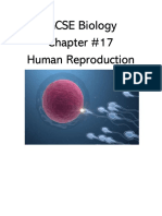 IGCSE Biology Chapter #17 Human Reproduction