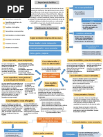 Clasificación de Las Cosas. Johan Romero.