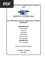 Las Diferentes Areas de Actuacion Del Medico Veterinario