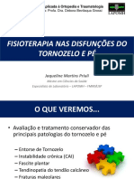 Fisioterapia Nas Disfunções Do Tornozelo e Pé - Final2020