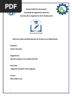 Informe de Deshidratacion de Frutas y Verduras