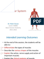 L6. Muscular System (2021-22)