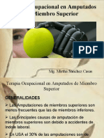 Terapia Ocupacional en Amputados MMSS