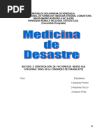 1trabajo Medicina Del Desastre Alejandro