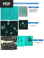 Analysis of Wear Particles