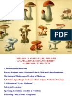 1 Introduction of Mushroom