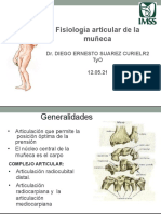 Fisio Articular de Muñeca Arnoldo Vargas