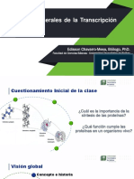 C8 Transcripción Del ADN 2020 20