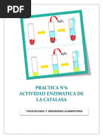 Actividad Enzimatica