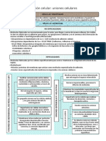 Biología - FINAL Degra