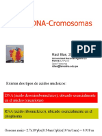 DNA Empaquetamiento