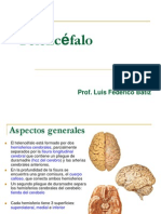 6 Batiz Neuroanatomia Telencefalo