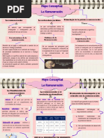 Mapa Conceptual de La Remuneracion