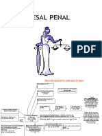 Esquema Procesal Civil y Penal Solo Penal