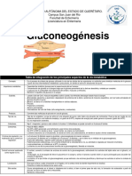 Gluconeogenesis