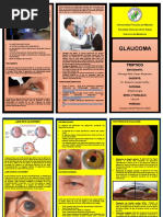 Triptico Glaucoma Parraga Veliz Cesar Alejandro