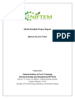 Besan Plant DPR by Niftem