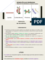 BIOMOLÉCULAS ORGÁNICAS Obtención de Carbohidratos, Proteínas y Lípidos