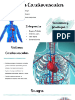 Sistema Cardiovascular