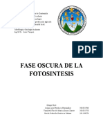 Fase Oscura de La Fotosintesis