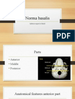 Norma Basalis: Inferior Aspect of Skull