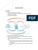 Evaluación de Estados de La Materia