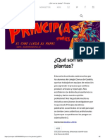 ¿Qué Son Las Plantas - Principia