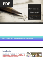 Tema 1. Teoría Del Comportamiento Del Consumidor
