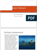 Despre Submarin