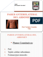 2 Pared Anterolateral Del Abdomen