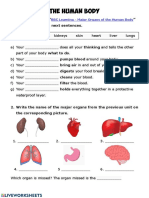 The Human Body: " and Complete The Next Sentences