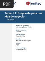 Tarea 1.1 Propuesta para Una Idea de Negocio