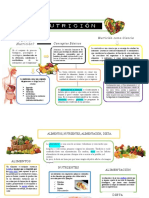 Mapa Conceptual de La Nutricion 9