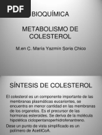 Metabolismo de Colesterol