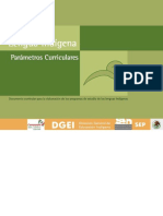 03 Parametros Curriculares