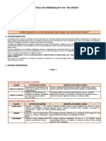 5° Grado - Experiencia de Aprendizaje N°06