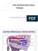 GANGGUAN REPRODUKSI PADA TERNAK - Rahma