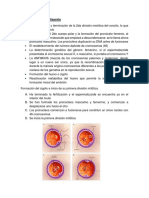 Resultados de La Fertilización