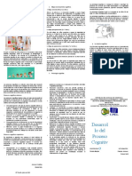 Desarrollo Del Proceso Cognitivo