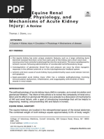 Relevant Equine Renal Anatomy, Physiology and Mechanisms of AKI Review