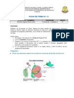 Ficha de Tarea #12 A2