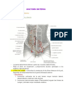 Anatomía Materna