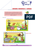 CyA - 1°grado - SEM5 - Los Animales Domesticos y Salvajes