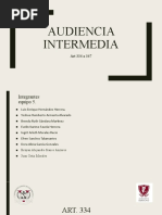 Audiencia Intermedia