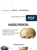 Huesos Frontal, Etmoidal y Cogomático